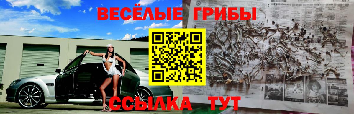 Псилоцибиновые грибы GOLDEN TEACHER  Псилоцибиновые грибы Psilocybine cubensis  Заводоуковск  магазин продажи   Вход с VPN 